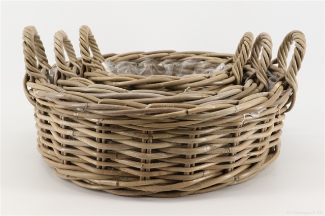 Bak met oren Set/3